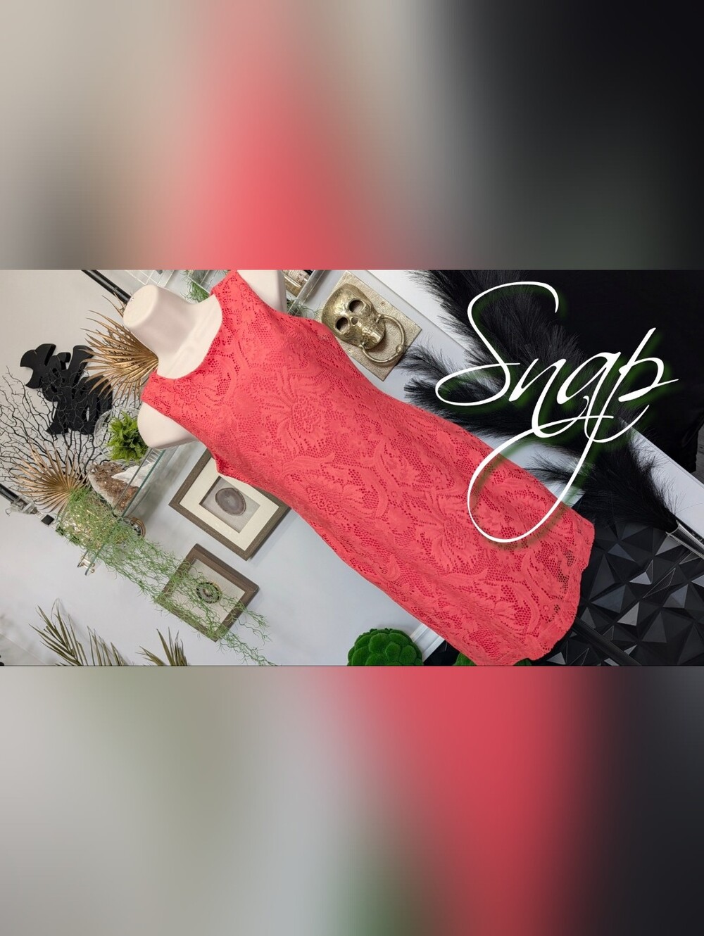 "Snap" Coral Lace Midi Sheath Dress SM